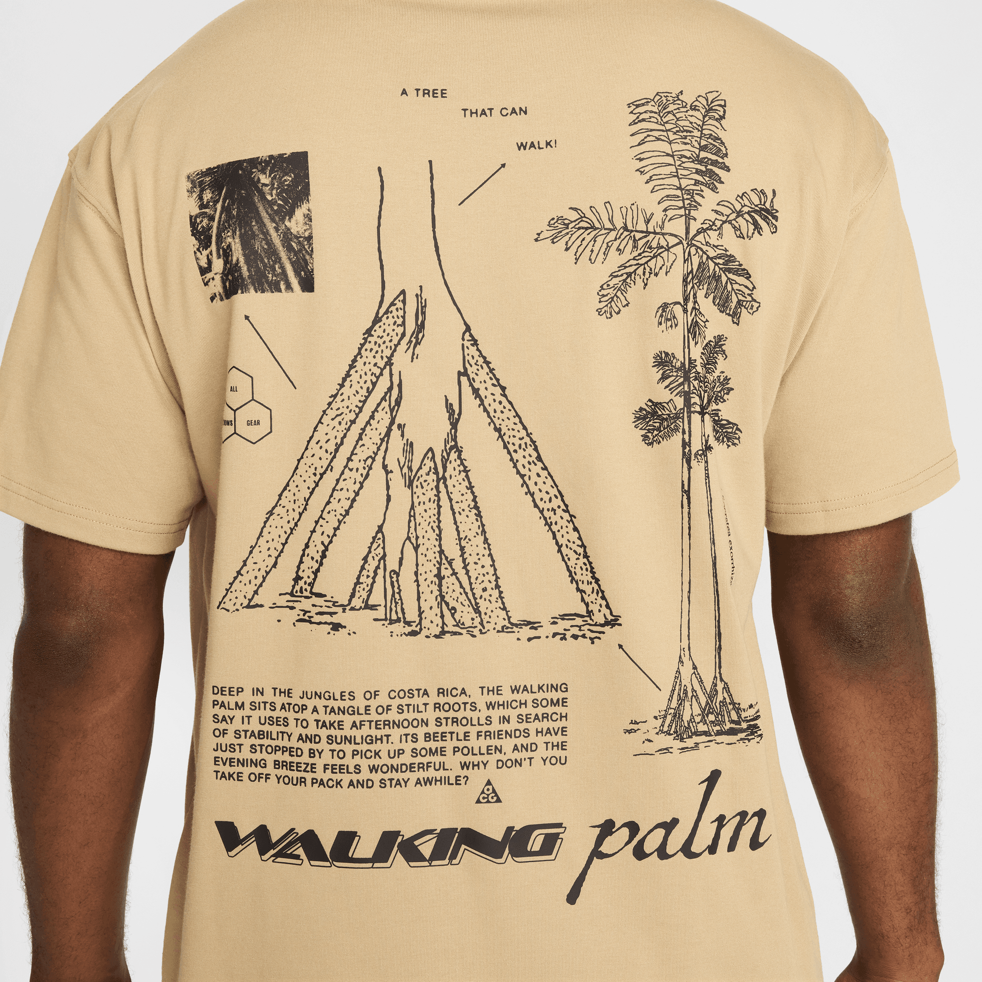 Nike ACG "Walking Tree" Dri-FIT T-Shirt
