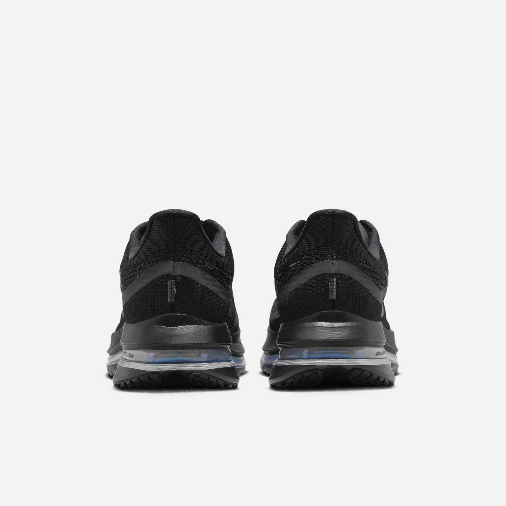 Nike Pegasus Premium Black Metallic Silver