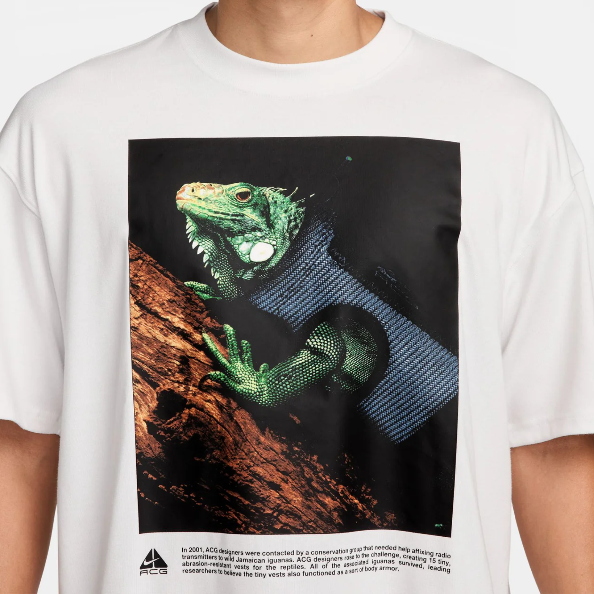 Nike ACG White Iguana Vest T-Shirt
