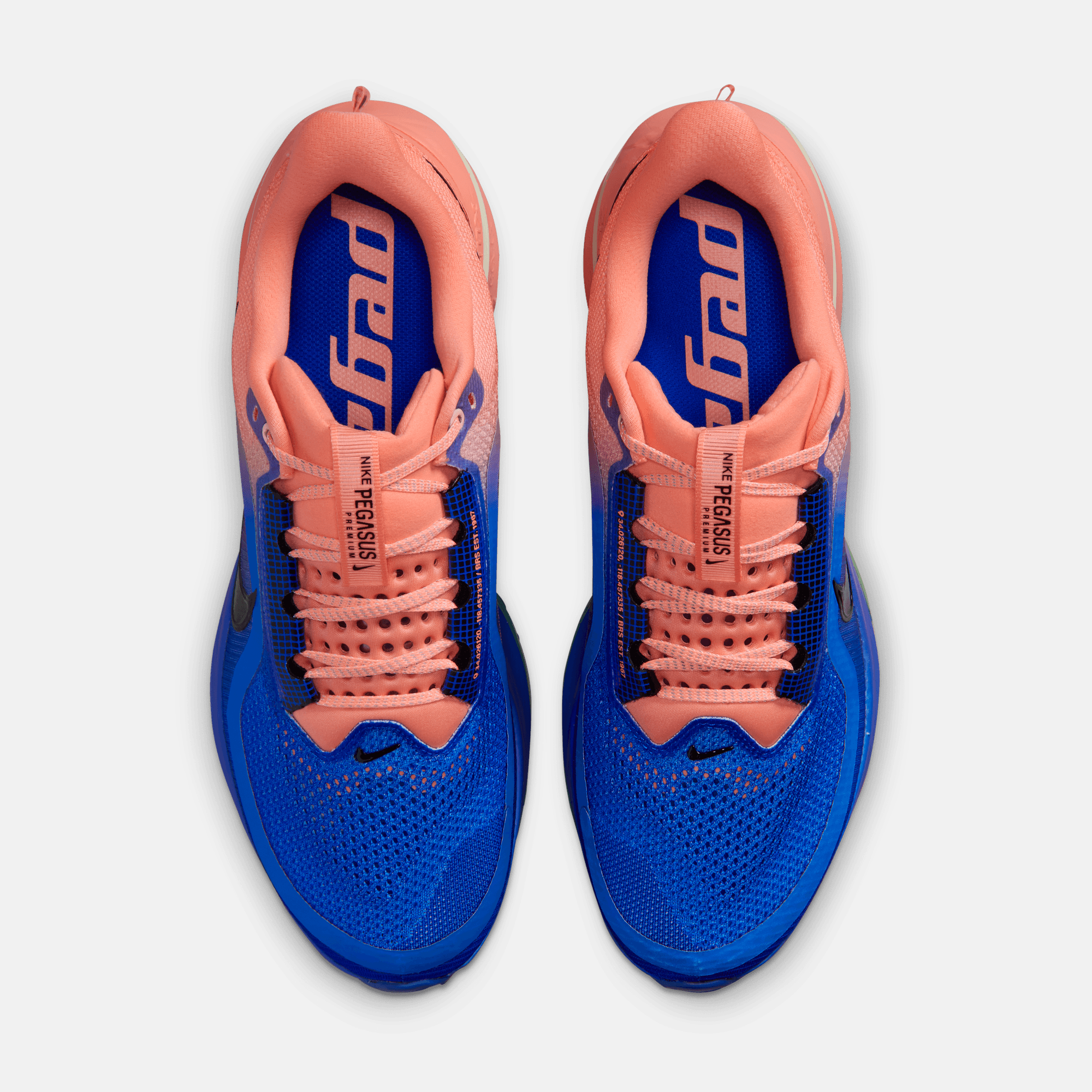 Nike Pegasus Premium Recer Blue Atomic Pink