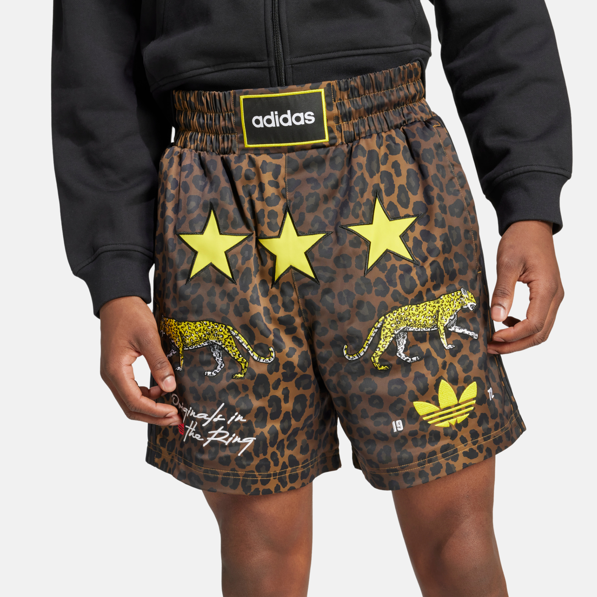 Adidas Originals in the Ring Leopard Print Graphic Shorts