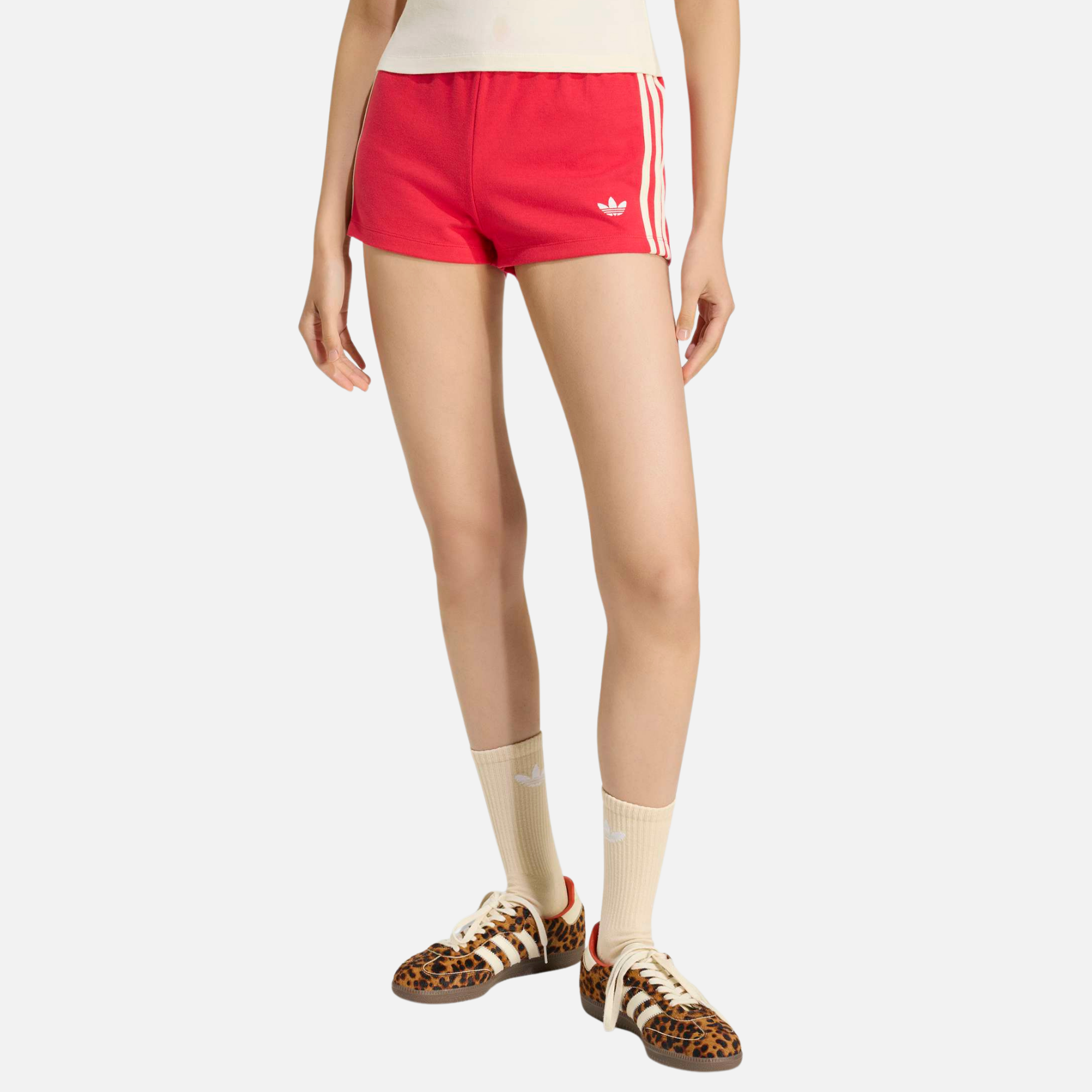 パンツ the red thread studded shorts Adidas Women's Originals GFX Pure Ruby Track Shorts – Puffer Reds