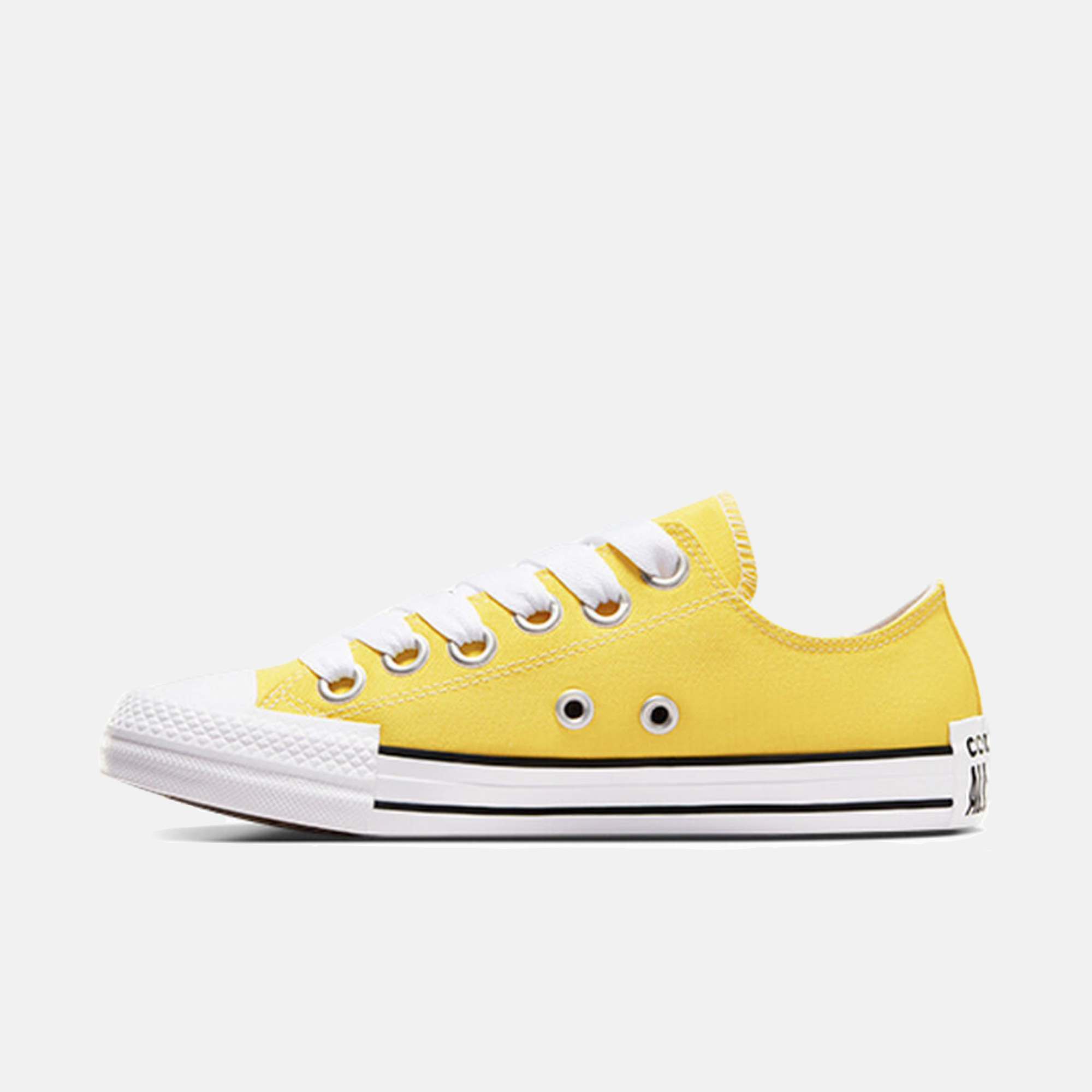 Converse Chuck Taylor All Star Sketch Low Top Canvas Shoes