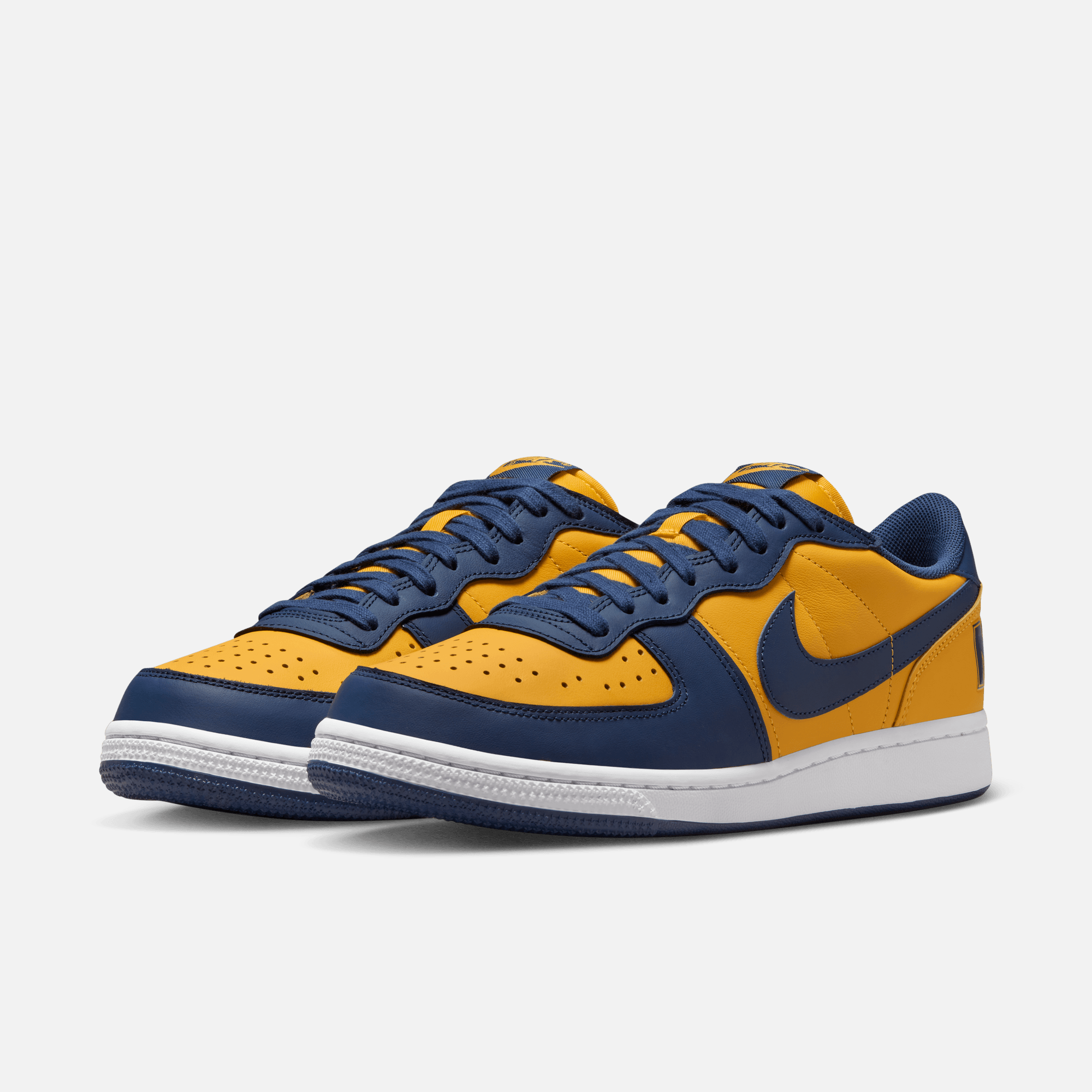 Nike Terminator Low 'Michigan'