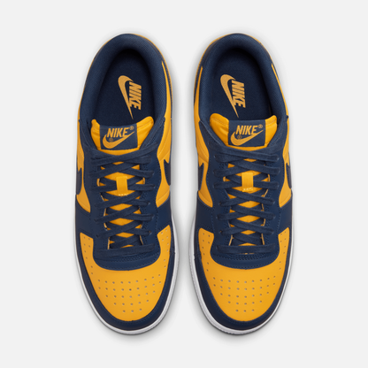 Nike Terminator Low 'Michigan'