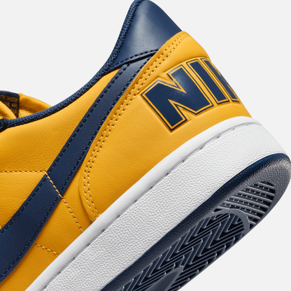 Nike Terminator Low 'Michigan'