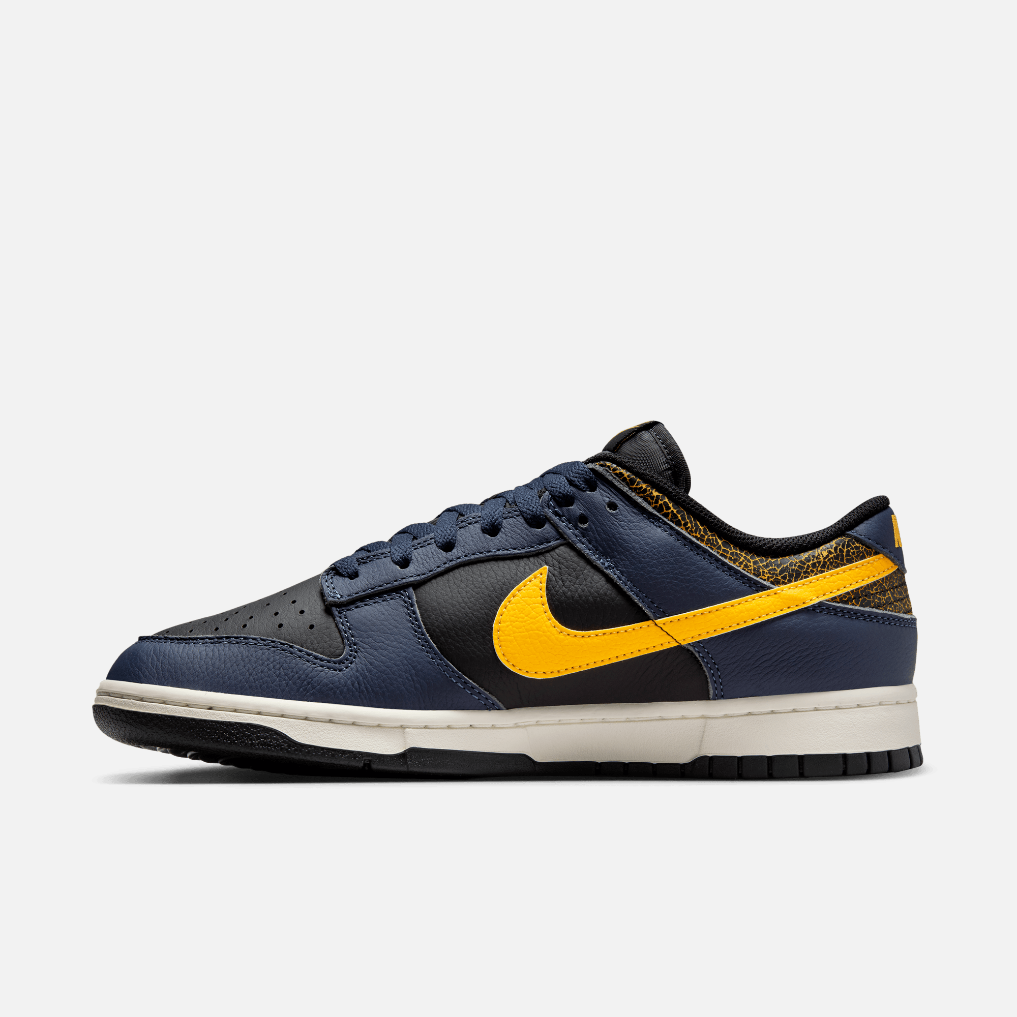 Nike Dunk Low Retro Vintage Michigan