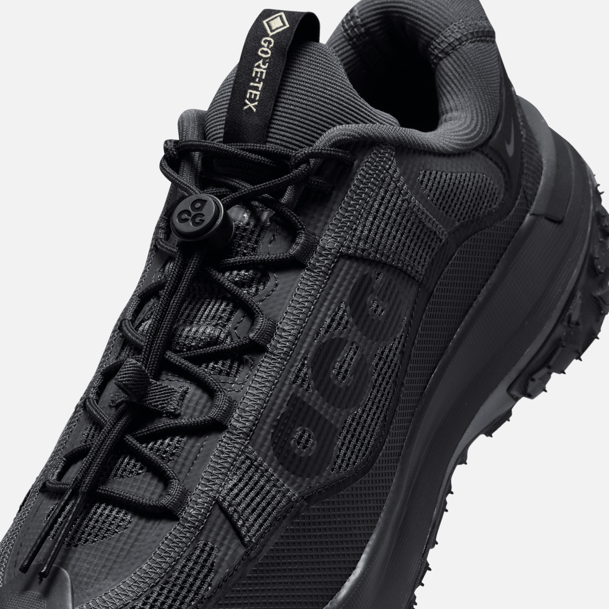 Nike ACG Mountain Fly 2 Low Gore-Tex 'Black'