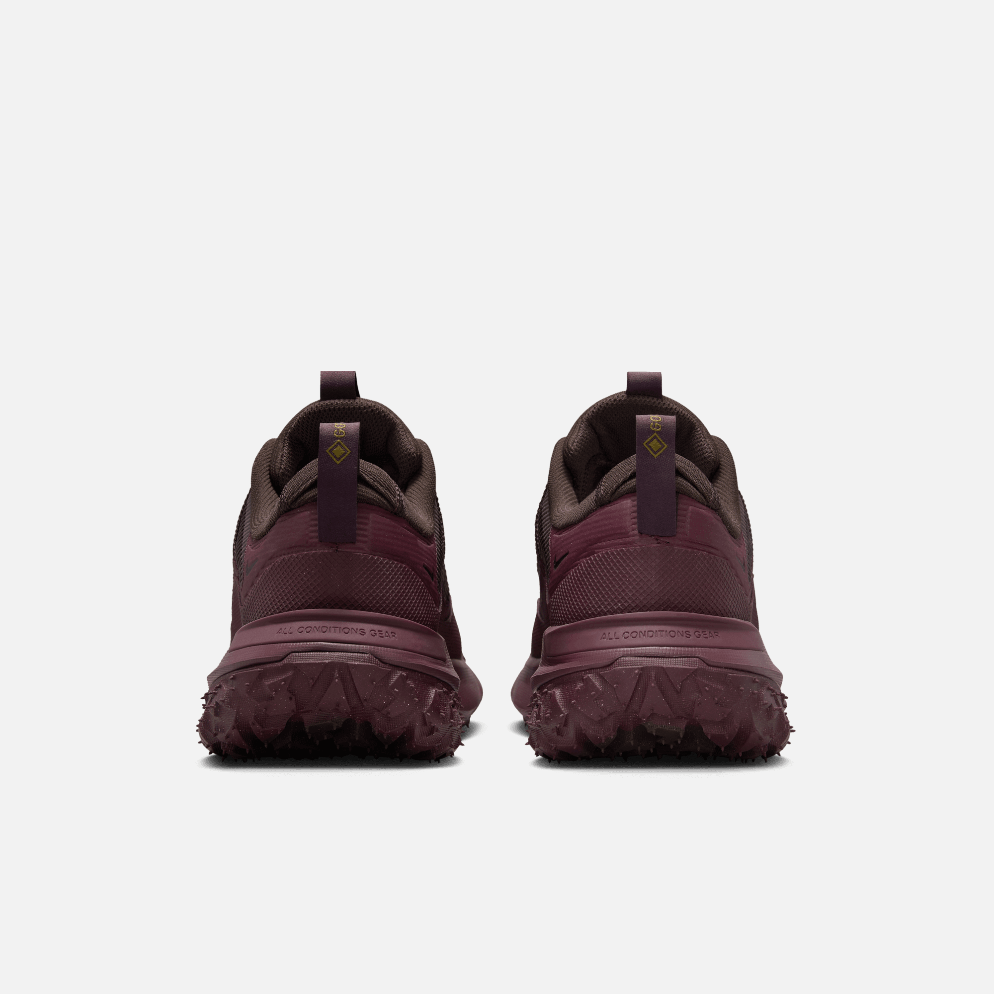 Nike ACG Mountain Fly 2 Low Gore-Tex Velvet Brown