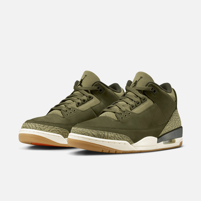 Air Jordan 3 Retro Family Affair