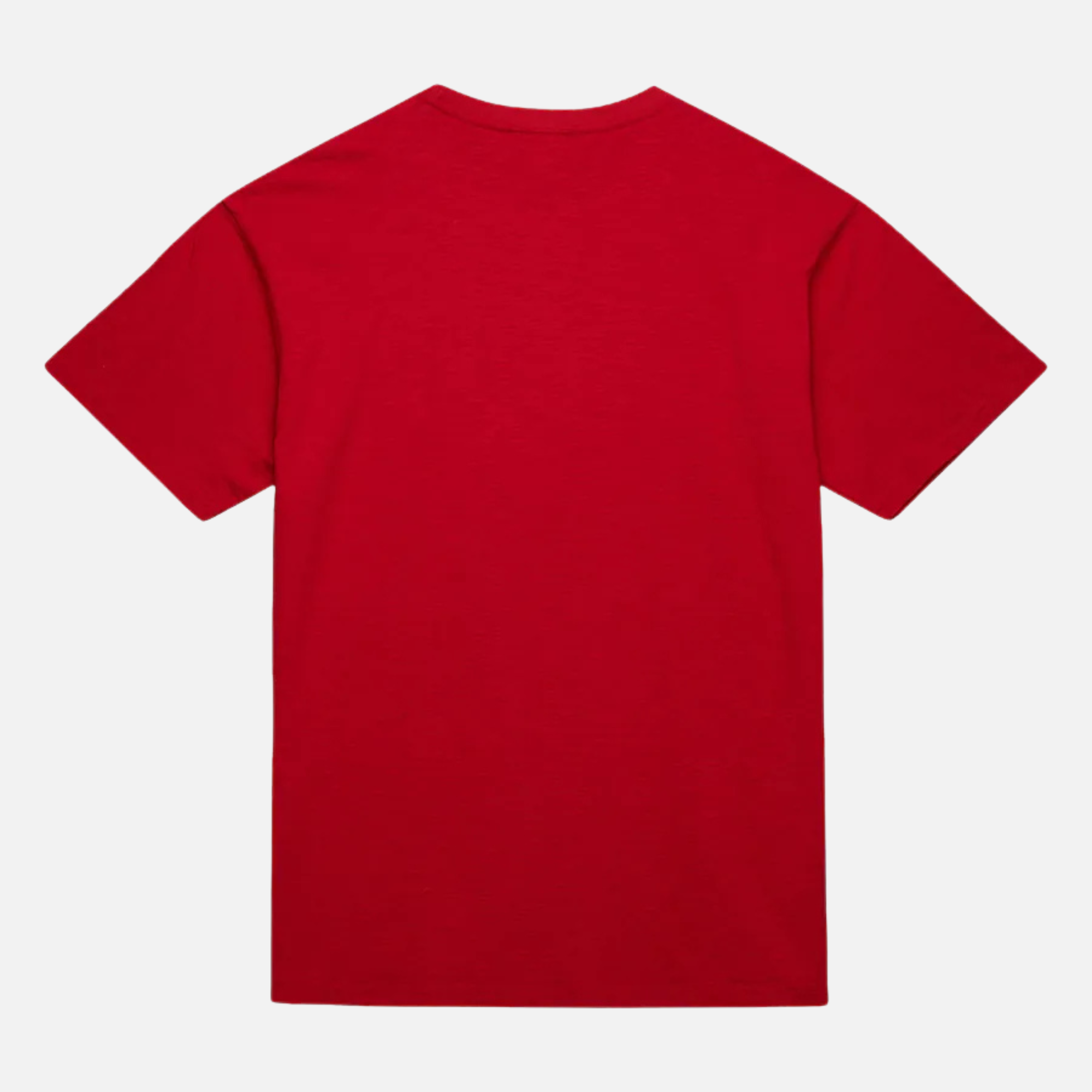 Mitchell & Ness NBA Legendary Slub Detroit Pistons T-Shirt