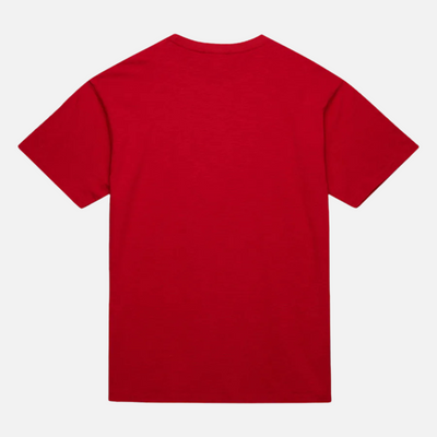 Mitchell & Ness NBA Legendary Slub Detroit Pistons T-Shirt