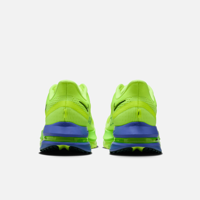 Nike Pegasus Premium Volt Ice
