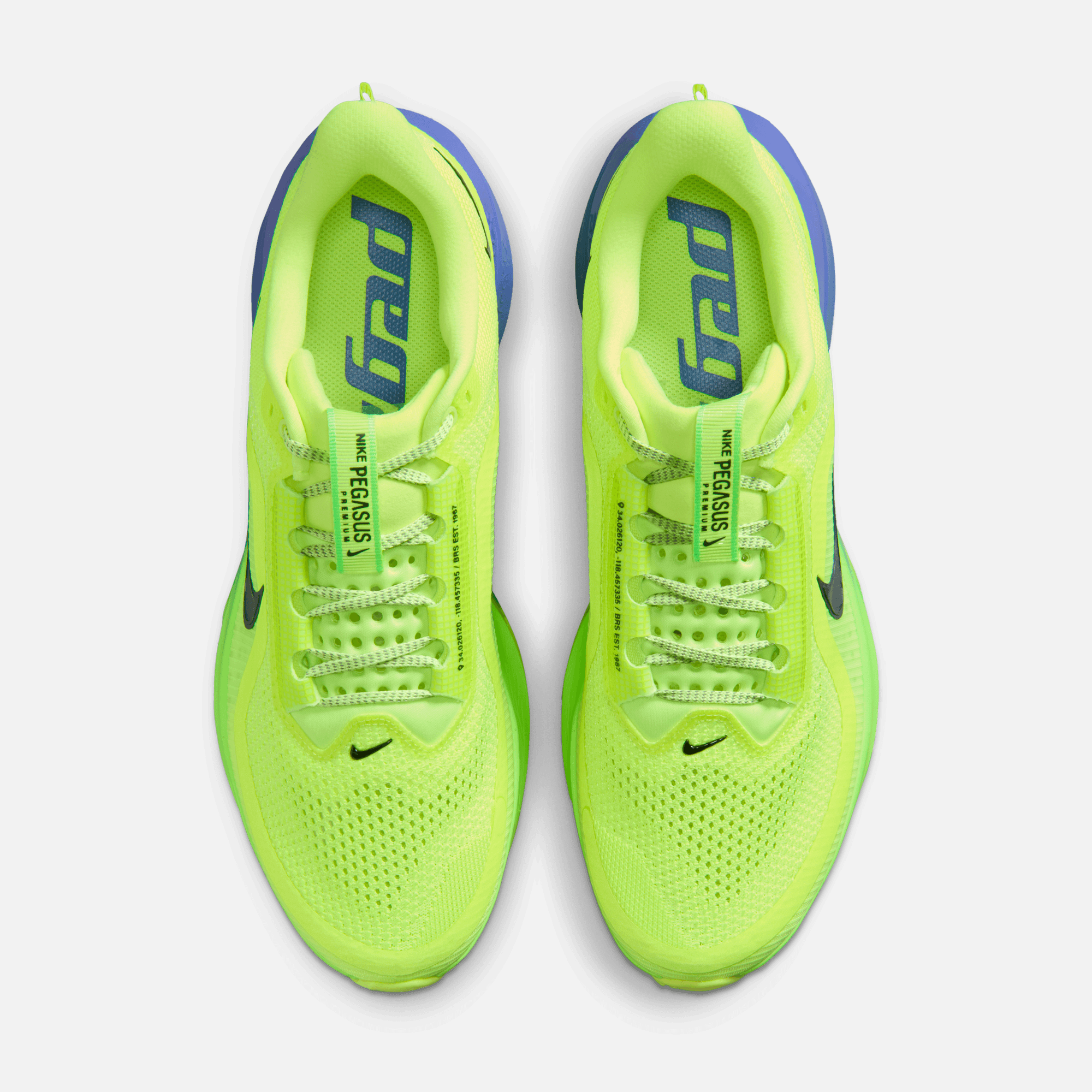Nike Pegasus Premium Volt Ice