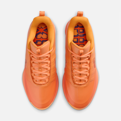 Nike Book 2 The Phoenix