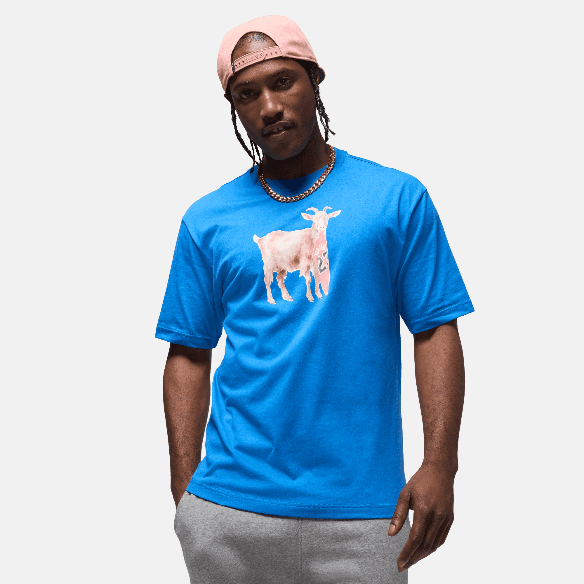 Air Jordan Blue Goat T-Shirt