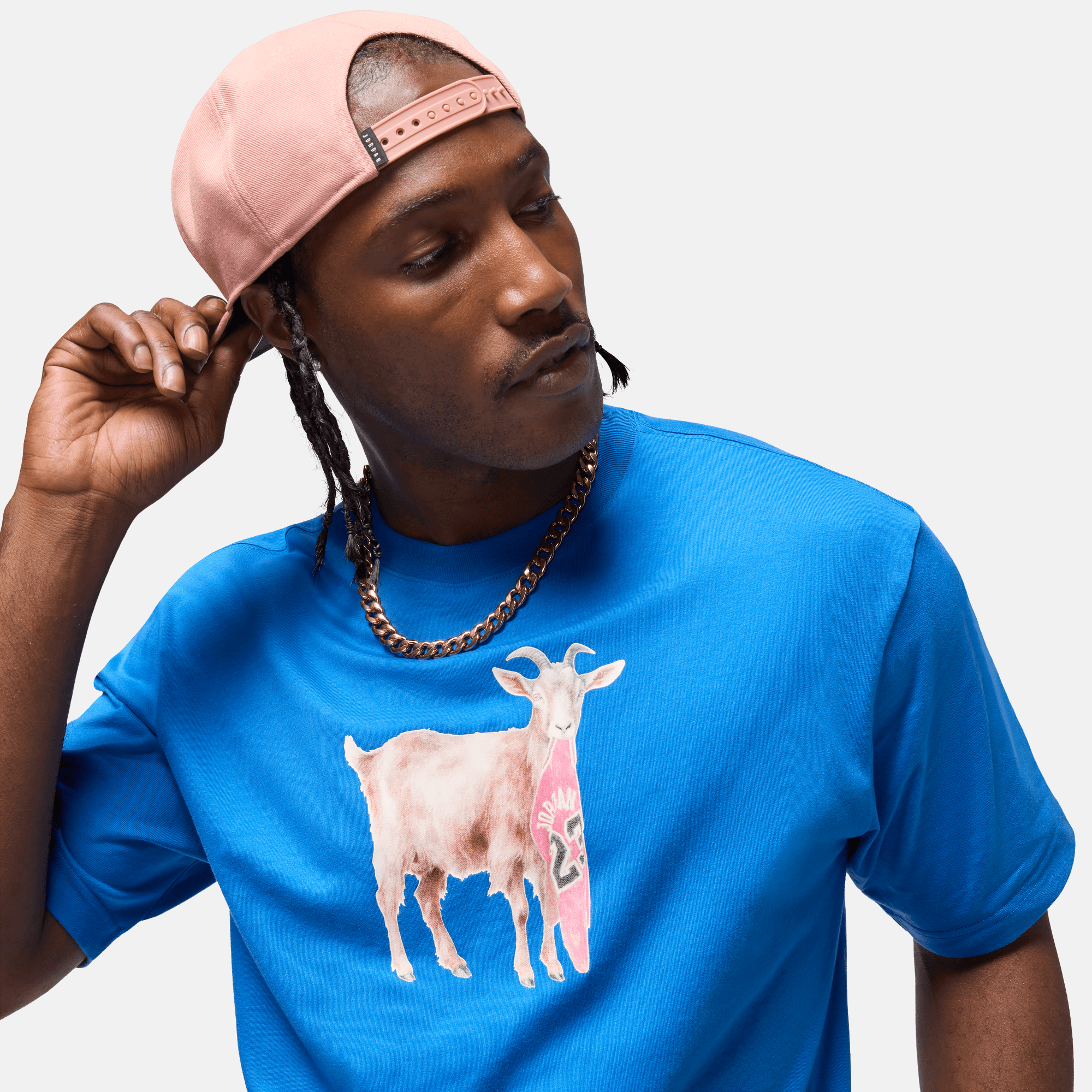 Air Jordan Blue Goat T-Shirt