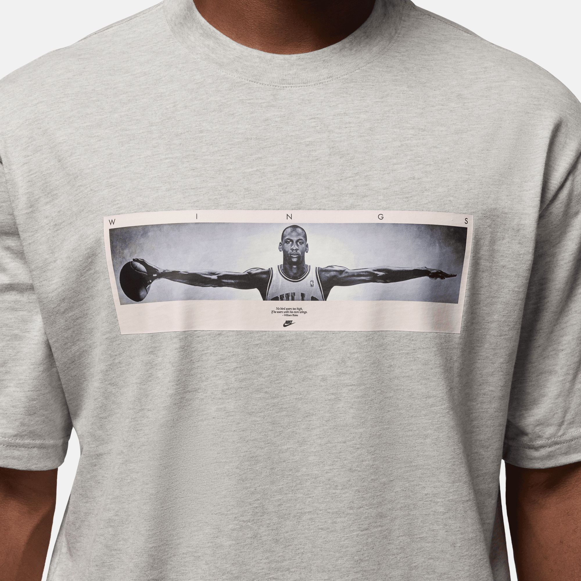 Air Jordan Grey Wingspan Photo T-Shirt