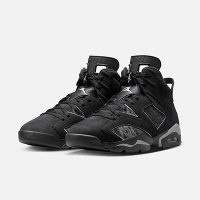 Air Jordan 6 Retro Cap and Gown