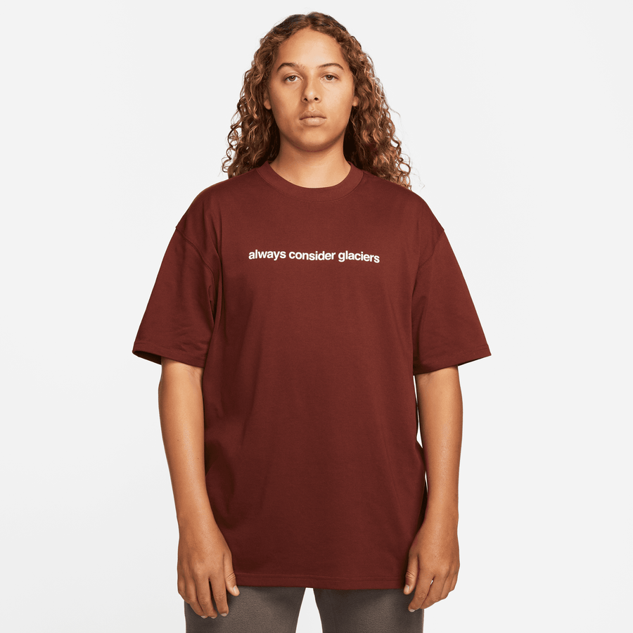Nike ACG Brown T-Shirt